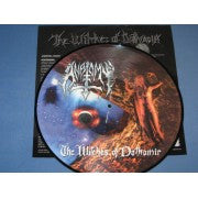 Anatomy "The Witches Of Dathomir" (lp, picture vinyl, used)