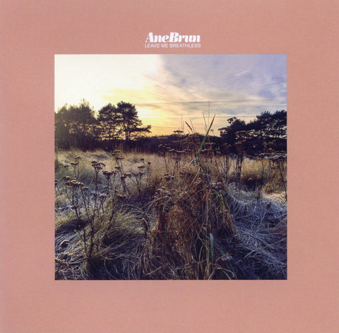 Ane Brun "Leave Me Breathless" (cd, used)