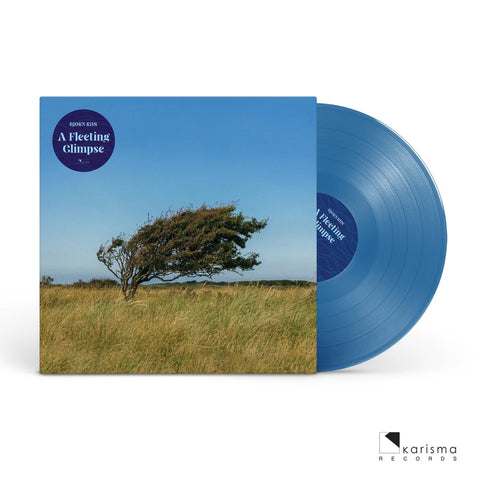 Bjørn Riis "A Fleeting Glimpse" (lp)