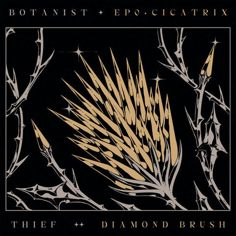 Botanist / Thief "Cicatrix / Diamond Brush" (lp)