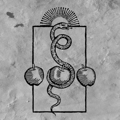 Darvaza "We Are Him" (lp)