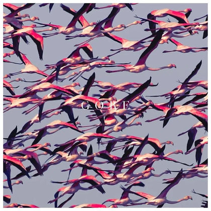 Deftones "Gore" (2lp)