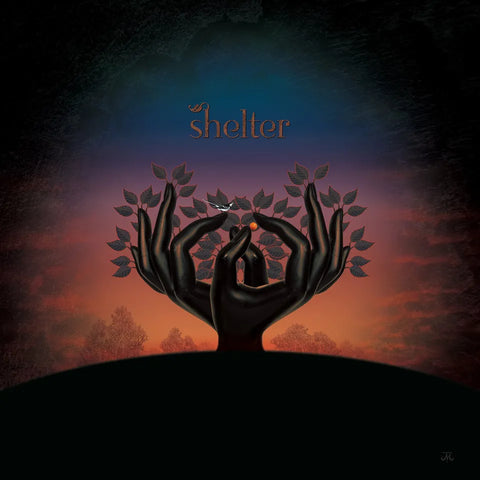 Laughing Stock "Shelter" (cd)