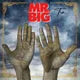 Mr. Big "Ten" (lp)