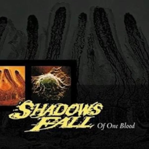 Shadows Fall "Of One Blood" (cd, used)