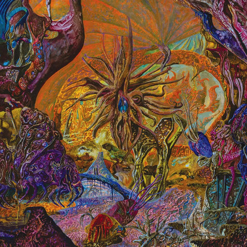 Slimelord "Chytridiomycosis Relinquished" (lp, galaxy vinyl)