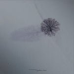 The Gathering "Nighttime Birds" (lp, used)