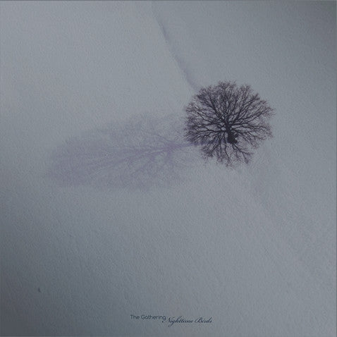 The Gathering "Nighttime Birds" (lp, used)