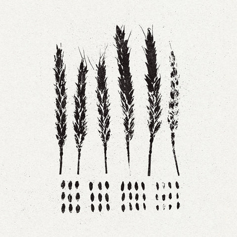 Lo! "The Gleaners" (lp)