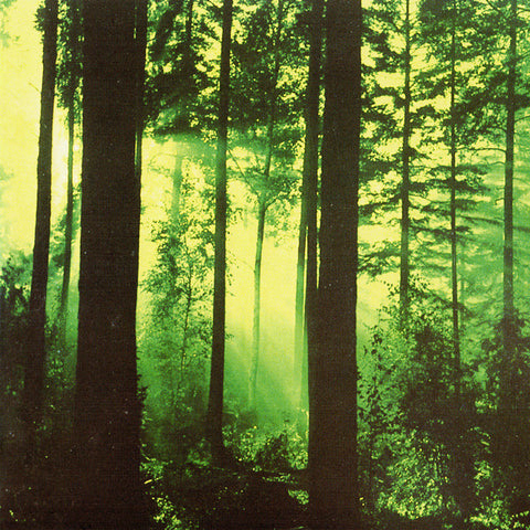 Thy Serpent "Forests Of Witchery" (cd)
