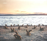 Airbag "A Day at the Beach" (lp)
