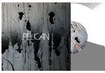 Pelican "Deny the Absolute" (7", vinyl)