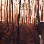 Anekdoten "A Time of Day" (lp)
