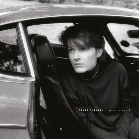 David Sylvian "Gone to Earth" (2lp, reissue)