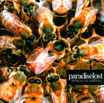 Paradise lost "Believe In Nothing" (cd, used)