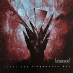 Lunatic Soul "Under The Fragmented Sky" (lp)