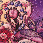 Baroness "Try To Disappear" (12", vinyl)
