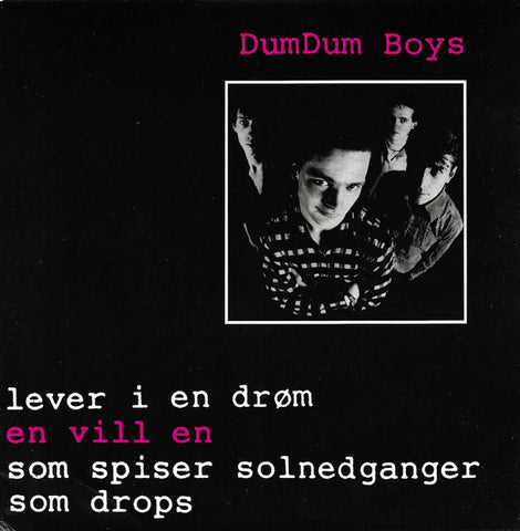 DumDum Boys "En Vill En" (7", vinyl, used)
