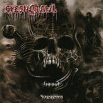 Fleshcrawl "Soulskinner" (cd)