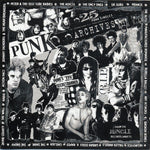 Punk Archives - 25 Punk Singles (cd, used)